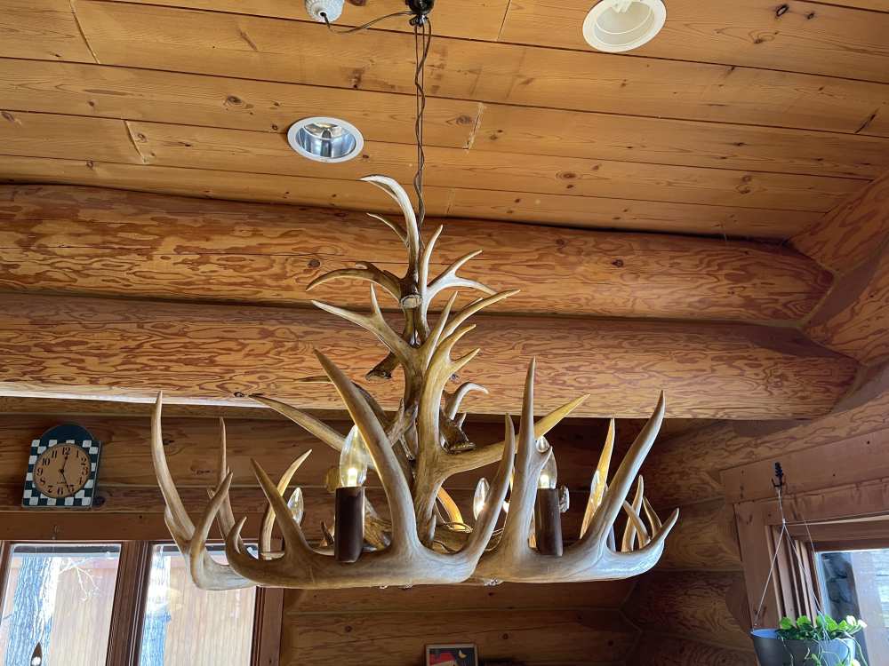 「鹿角のシャンデリア」のメイン画像