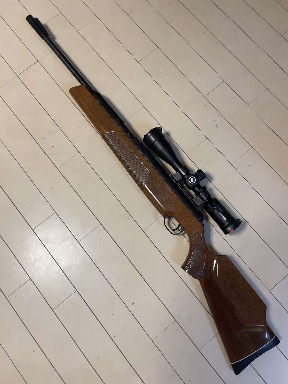 「ダイアナM54」のメイン画像
